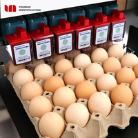 Nouvelle condition d'oeuf Code imprimante à jet d'encre date d'expiration machine d'impression pour oeufs imprimante par lots industrielle avec encre comestible