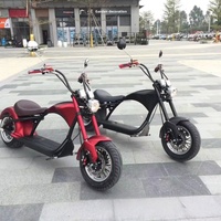 Scooter électrique à deux roues EEC 60V avec moteur sans balais 1500W, vitesse maximale de 45 km/h, moto électrique