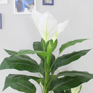 Chine Usine Artificielle Antuhirum Fleur Arbre Artificielle En Gros Plante De Décoration De La Maison - Product Image 5