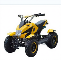 Mini buggy de plage pour enfants en résine, moto tout-terrain 49CC/50CC à quatre roues, véhicule tout-terrain à essence pour l'extérieur
