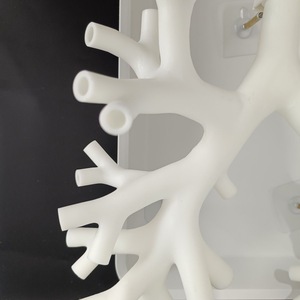 Kyrenmed <span class=keywords><strong>3D</strong></span> xơ phế quản mô hình với khay Kích thước cuộc sống nhựa cấp bốn bronchus <span class=keywords><strong>Simulator</strong></span> cho bronchoscopy đào tạo mô hình - Product Image 2