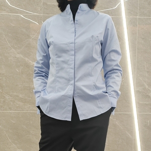 Chemise professionnelle pour femme, nouvelle collection printemps-automne, col montant, boutons cachés, manches longues, couleur unie, tendance - Product Image 5