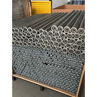 Rouleaux de convoyeur à gravité robustes sur mesure, tube en acier galvanisé, diamètre 50 mm pour la logistique d'entrepôt