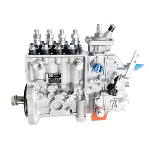 Pompa di iniezione Diesel BYC 2x 5318192 10404564023 per DCEC