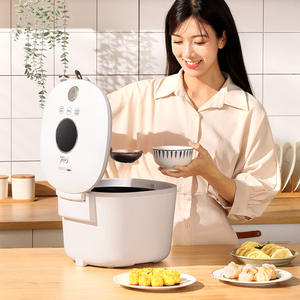 Joyoung <b>Smart</b> Rice <b>Cooker</b> 4L Electric With Timer Function Microcomputer Control For Home Kitchen Use - Product Image 1