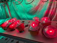 Luz de Obstrucción de Baja Intensidad Tipo B de Safetrip Factory, LED Rojo de Funcionamiento Continuo o Intermitente Opcional para Obstáculos