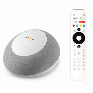 Google Certified DVB Android 11.0 TV Box with Stereo Speaker & Microphone Hands-free Voice Control Smart Home