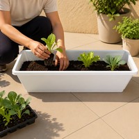 Jardinera Rectangular Blanca con Bandeja de Drenaje, Jardinera de Plástico para Ventana, para Vegetales, Flores, Hierbas, Balcón, Jardín, Parapeto