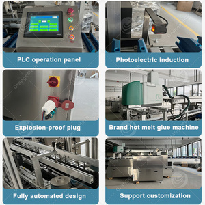 Machine d'emballage automatique ORME pour boîtes de mouchoirs en carton, adaptée à de multiples secteurs - Product Image 5