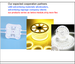 โมดูล LED กันน้ำ 200 ลูเมนส์ รับประกัน 5 ปี เหมาะสำหรับกล่องไฟโฆษณาภายนอกอาคารและผู้ค้าส่ง LED - Product Image 3
