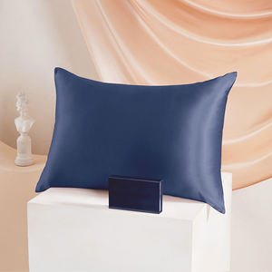 Taihu Snow Custom 22Mm Mulberry Silk <span class=keywords><strong>Funda</strong></span> De Almohada Silvadur <span class=keywords><strong>50X60</strong></span> 60X60 - Product Image 6
