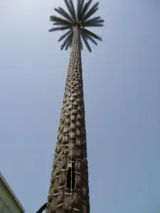 יצרן אספקת תקשורת מגדל & אביזרי מוסווה דקל מלאכותי עץ מונופול מגדל