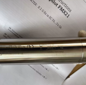 Système de mesure de niveau hydrostatique de qualité supérieure Endress+Hauser série FMX21 Waterpilot FMX21-AA211QGB15H/FMX21-19F8/0/FMX21-10W10 - Product Image 2