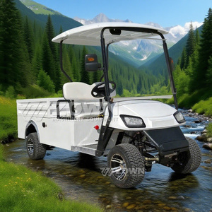 <b>Single</b> <b>Seat</b> Electric Cargo <b>Golf</b> <b>Buggy</b> Heavy Duty Loading For Resort Warehouse - Product Image 6