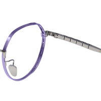 Monturas de Gafas Ópticas Modernas Minimalistas de Titanio IP con Logotipo Personalizado al por Mayor, Color Morado Plateado Brillante, en Tendencia