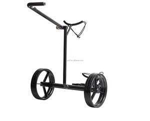 Moteur allemand 180W pour <span class=keywords><strong>chariot</strong></span> de <span class=keywords><strong>golf</strong></span> en carbone <span class=keywords><strong>chariot</strong></span> de <span class=keywords><strong>golf</strong></span> lectrique - Product Image 3