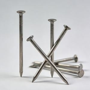 Clavos Redondos Comunes de Acero para Construcción, Galvanizados, con Cabeza Lisa, 1 kg/Caja, 25 kg/Cartón, MOQ 1 Tonelada - Product Image 5