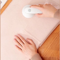 Rouleau anti-bouloches portable pour vêtements, coupe-bouloches rechargeable par USB, réutilisable, pour poils d'animaux, rasoir pour vêtements