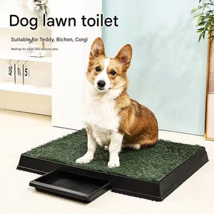Plateau de toilette intérieur portable en plastique pour chien avec tiroir pour l'entraînement des chiots et pot d'herbe artificielle - Product Image 2