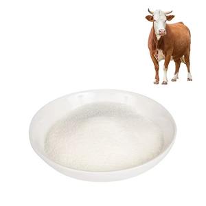 איכות גבוהה פרימיום קולגן משקה אבקת cowhide פפטיד קולגן - Product Image 1