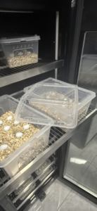 Incubateur pour reptiles intégré de 130 L à température constante pour œufs de serpent, haute productivité et haute qualité - Product Image 5