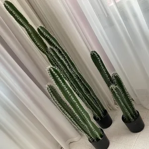 Kaktus mit Dornen Pflanze Deko ration Pflanze