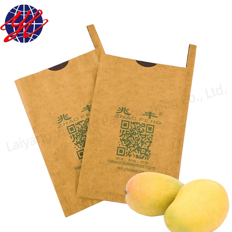 Fruta de protección bolsa de papel para guayaba de mango de uva
