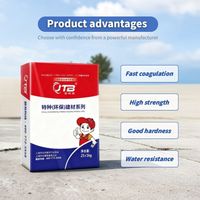 Ciment Portland de haute qualité de la marque JTB, 525 g, à séchage rapide, pour drain mural et de sol, résistant à la moisissure, imperméable, usage domestique, 52,5