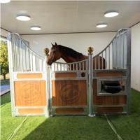 Accessoires d'écurie pour ferme équine, boxes permanents pour chevaux, abri, hangar, équipement pour chevaux, stalles pour ferme équine avec toit