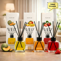 Diffuseurs à bâtonnets de luxe pour la maison, marque privée, 120 ml, écologiques, sans alcool, longue durée, en bouteille de verre