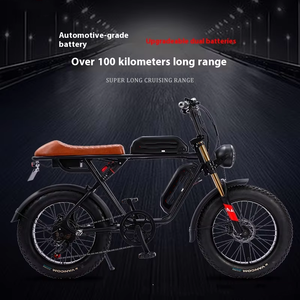 จักรยานไฟฟ้า750W 48V สำหรับผู้ใหญ่250W 350W 500W 1000W จักรยานไฟฟ้าสำหรับผู้ใหญ่ - Product Image 3