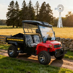 UTV électrique tout-terrain chinois à 2 places pour la ferme - Product Image 2