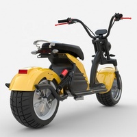 Le meilleur Cityco en Allemagne avec une autonomie de 120 km et un scooter électrique à pneus larges de 12 pouces avec certificat EEC/COC