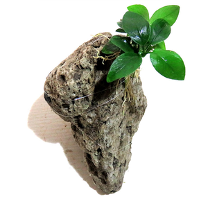 <span class=keywords><strong>Pierre</strong></span> flottante de réservoir d'<span class=keywords><strong>aquarium</strong></span> de roche de cabochons de <span class=keywords><strong>pierre</strong></span> pumique naturelle crue - Product Image 3