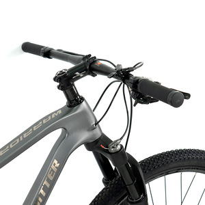 Bicicleta de Montaña Warriorpro25yr 29/27.5er de Fibra de Carbono, Horquilla de Aluminio con Ajuste de Velocidad M6100-12s Warriorpro (boost), 25yr, Directo de Fábrica - Product Image 2