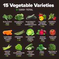 Kit de jardinage avec 15 sachets de graines de légumes biologiques non OGM, matériel de survie pour la plantation au sol dans le jardin à domicile