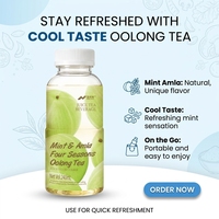 Thé Oolong Quatre Saisons Menthe & Amla Nihewan 240ml – Fournisseur en Gros de Thé, Boissons OEM ODM, Marque Privée