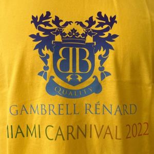 T-shirt en coton 100% personnalisé avec logo, taille standard, pour hommes, noir, blanc, rouge, coupe classique, pour événements, équipes, promotions - Product Image 4