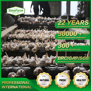 Ail frais <span class=keywords><strong>ajo</strong></span> fresco Paquete de <span class=keywords><strong>ajo</strong></span> púrpura blanco normal en bolsa de malla y cartón para el mercado africano del sudeste de Oriente Medio - Product Image 2