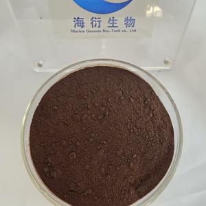 Estratto in Polvere di Erba di San Giovanni Selvatica Biologica Marine Genesis Bio-Tech, 0,3% Ipericina, Confezionato Sottovuoto in Fusto - Product Image 3