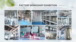 Polvere di acido Gamma-amminobutirrico acido Gamma amminobutirrico GABA 98% Y -Gamma acido amminobutirrico in polvere - Product Image 4