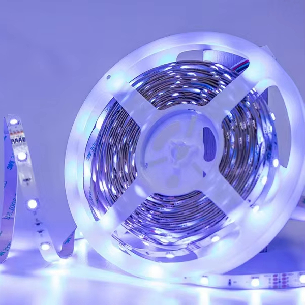 Smart 100ft RGB Control LED Light Strip Home Decoration Lighting for Bedroom and Garden 5050 RGB LED Strip 10m 20m 30m 50ft