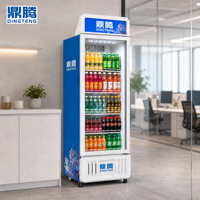 Congélateur-vitrine à porte unique avec éclairage LED interne au design élégant pour la vente de boissons fraîches et les promotions en magasin