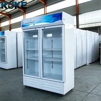 Réfrigérateur Commercial Vertical à Double Porte Vitrée pour Boissons et Vins, Congélateur Vertical Double Profondeur