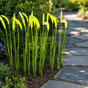Luz LED de Jardín para Plantas con Forma de Setaria, de PVC, con Clasificación IP65, de Alta Luminosidad y Luz Cálida, Fácil Instalación, <span class=keywords><strong>Solar</strong></span> - Product Image 1