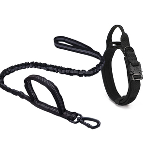 Conjunto de Correa y Collar para Perro PUPE, Resistente, de Nailon, Moderno, Estilo Occidental, Multifuncional y de Alta Resistencia - Product Image 2