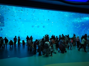 2022 חם למכור התאמה אישית גדול אקריליק מלבן דגי אקווריום אקריליק אקווריום custom דגי טנק - Product Image 4