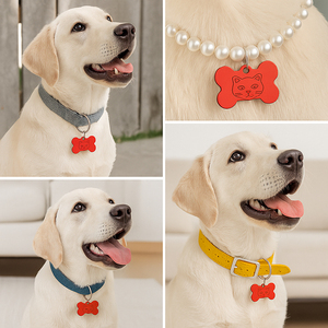 In-Stock colorato a forma di osso Pet tag di carta d'identità In alluminio cane gatto accessori pendenti In bianco incidibile <span class=keywords><strong>per</strong></span> nome e contatto personalizzabili - Product Image 4