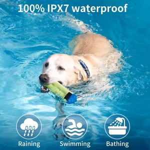<span class=keywords><strong>Collar</strong></span> eléctrico recargable antiladridos para perros, <span class=keywords><strong>collar</strong></span> de choque impermeable con control remoto hecho de plástico duradero