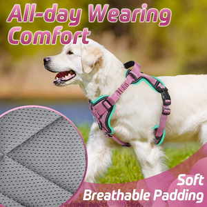 Hondenharnas van luxe nylon, anti-uitbraak, reflecterend, verstelbaar, met makkelijk te bedienen handvat voor grote honden - Product Image 5